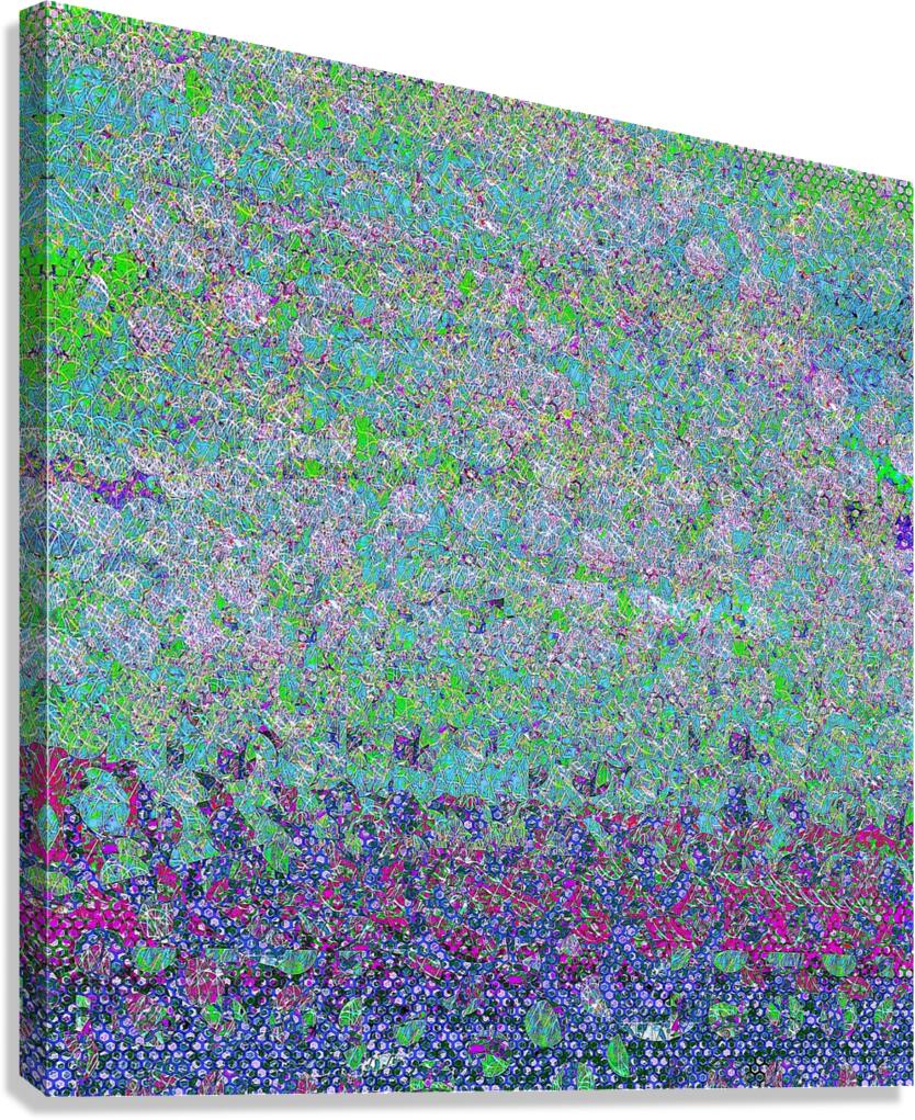 356 Canvas Print