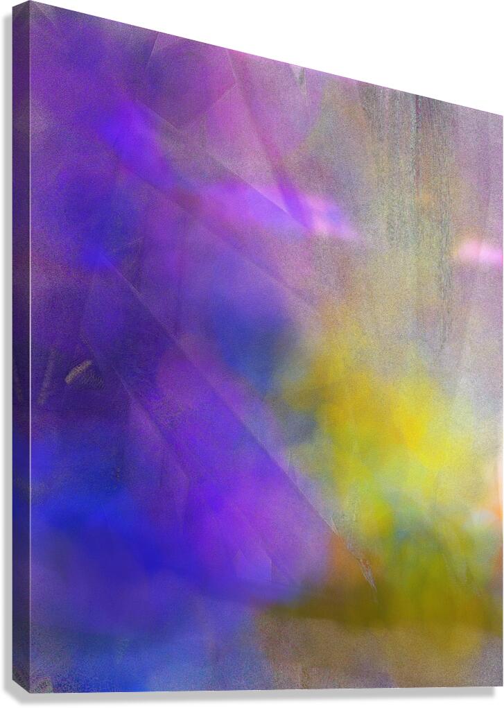 231 Canvas Print