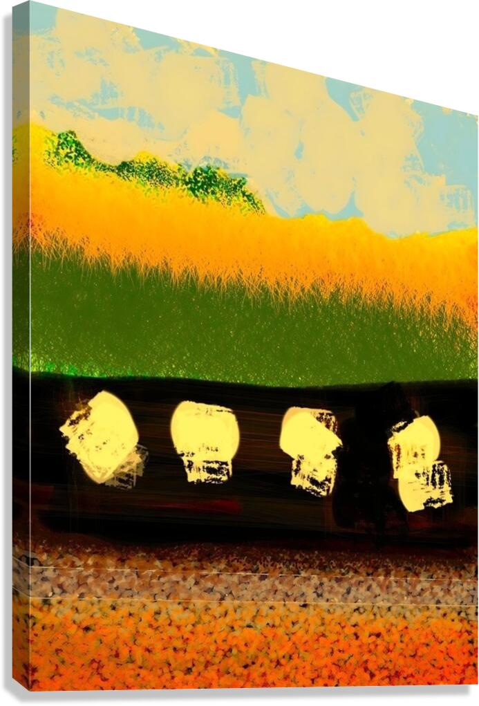 170 Canvas Print
