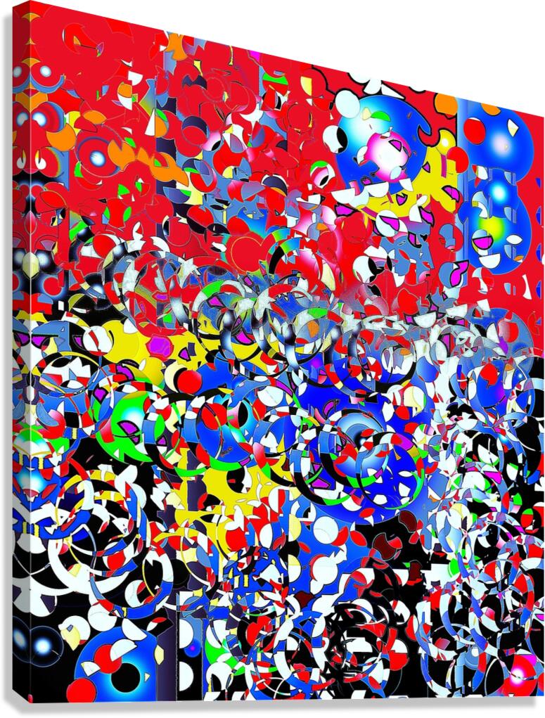 296 Canvas Print