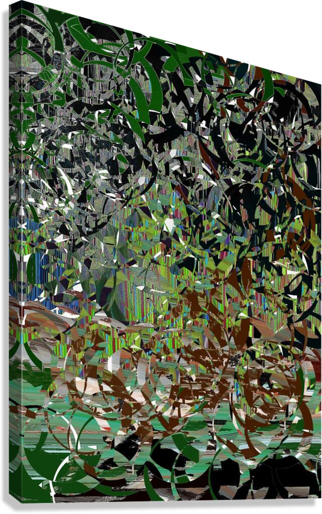 Swamp Canvas Print