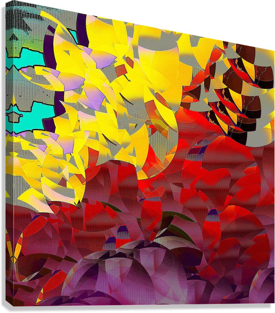 216 Canvas Print