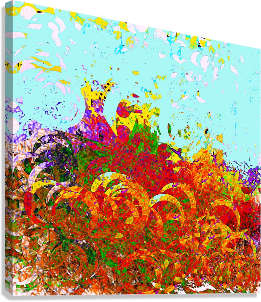 2p36 Canvas Print
