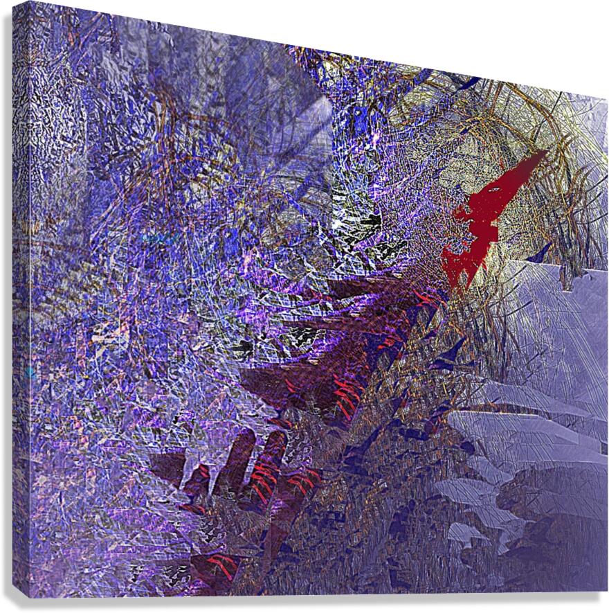 2p50 Canvas Print