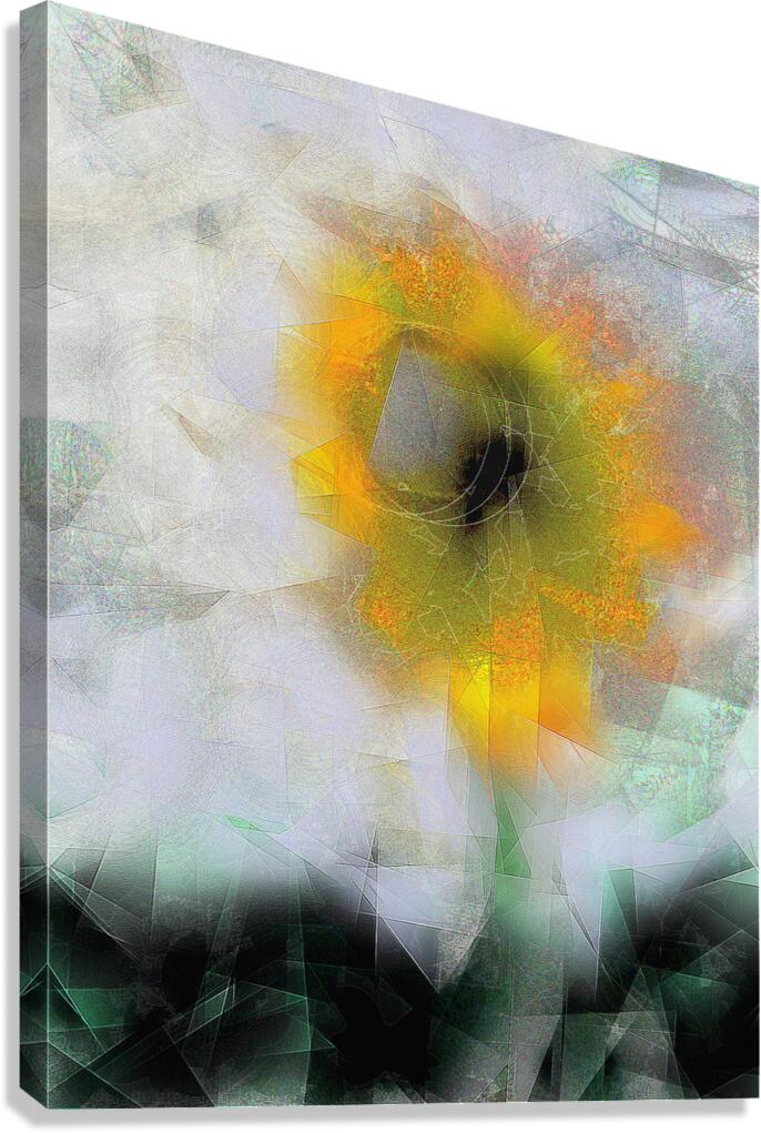 2p53 Canvas Print