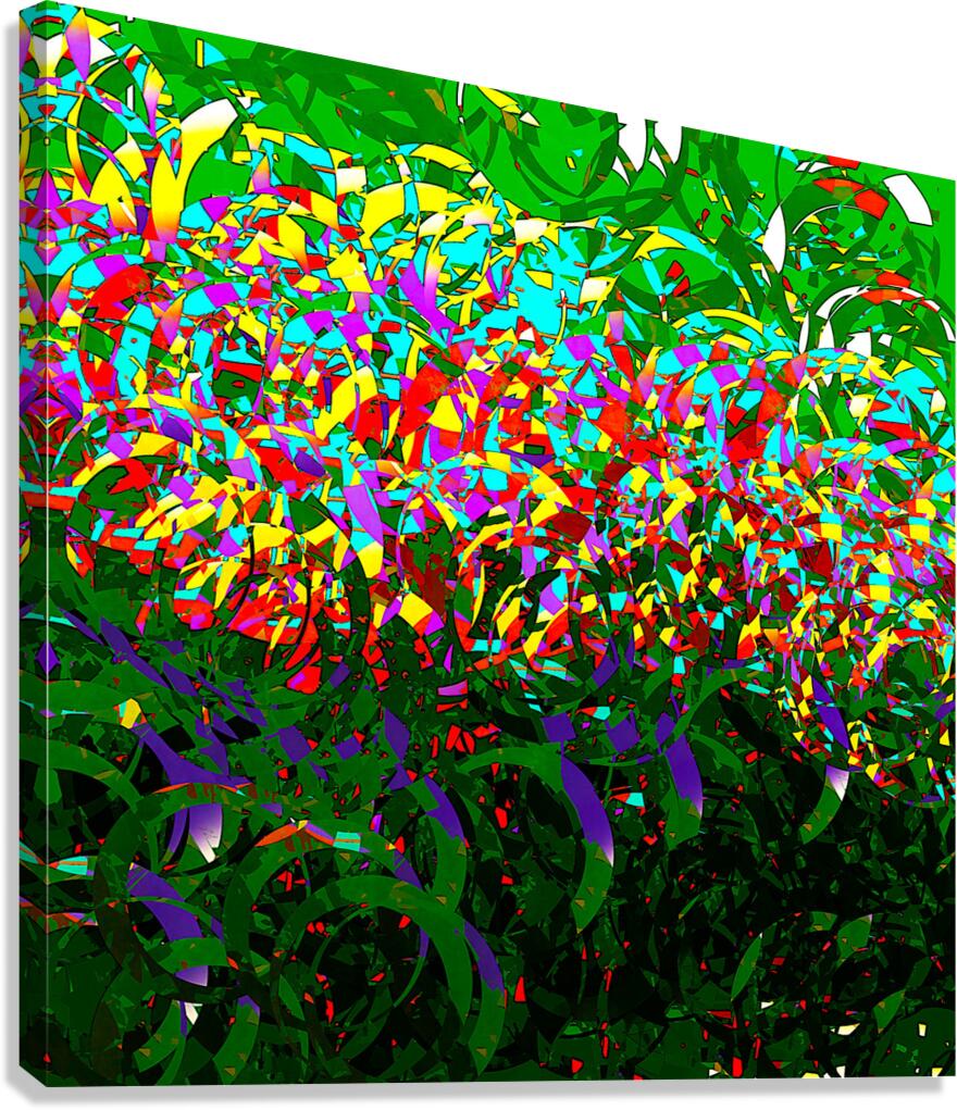 2p57 Canvas Print