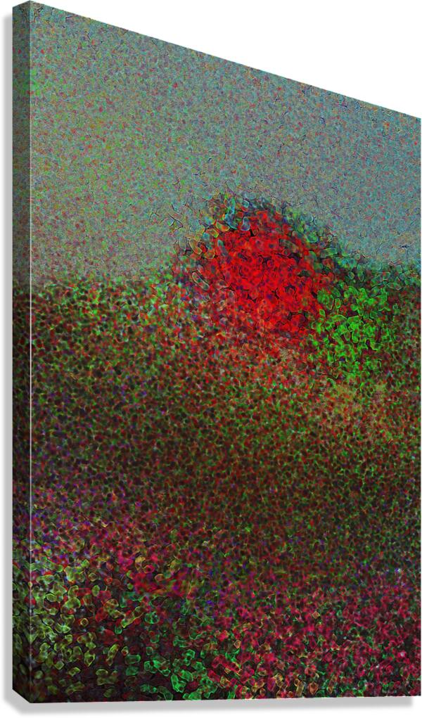 2p42 Canvas Print