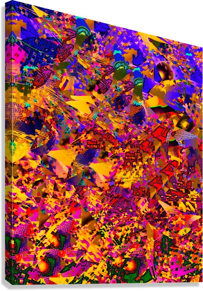 abst12 Canvas Print