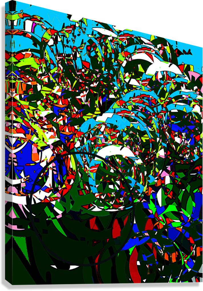 2p58t30 Canvas Print