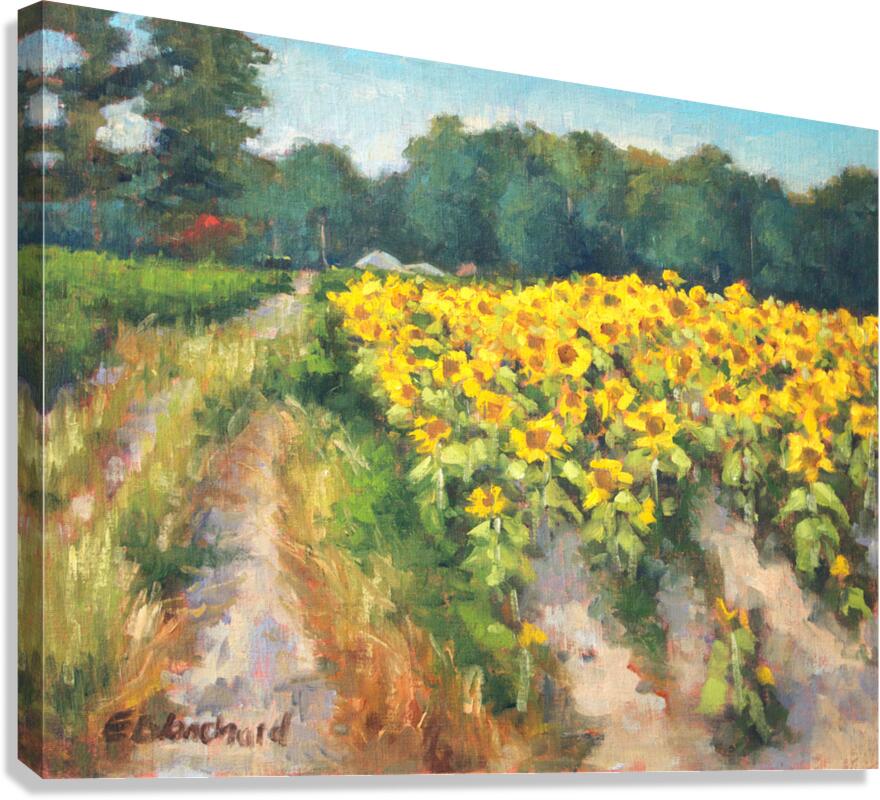 sunflowers4 Canvas Print