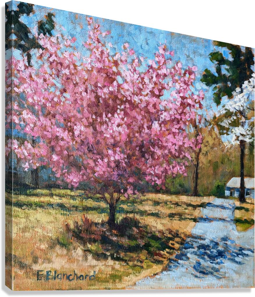 Spring Canvas Print