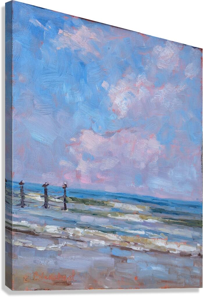 PinkClouds Canvas Print