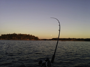 Magic Time DeNoiseAI denoise standard scale 2 00x gigapixel