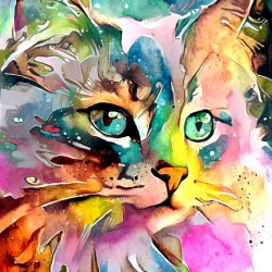 Kitty Nala