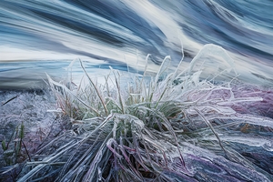 Blurred frozen grass. Winter abstract background.