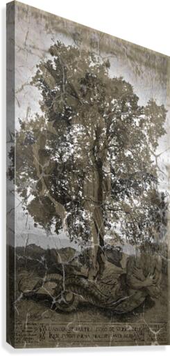 Sacred tree Canvas Print