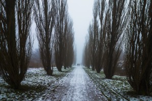 Symetric walk path in fog