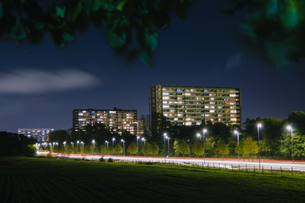 City view through the branches Print