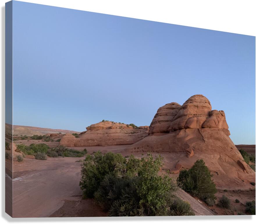 Red Domes Canvas Print