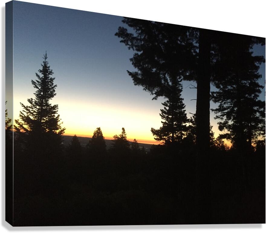 Silhouettes Canvas Print