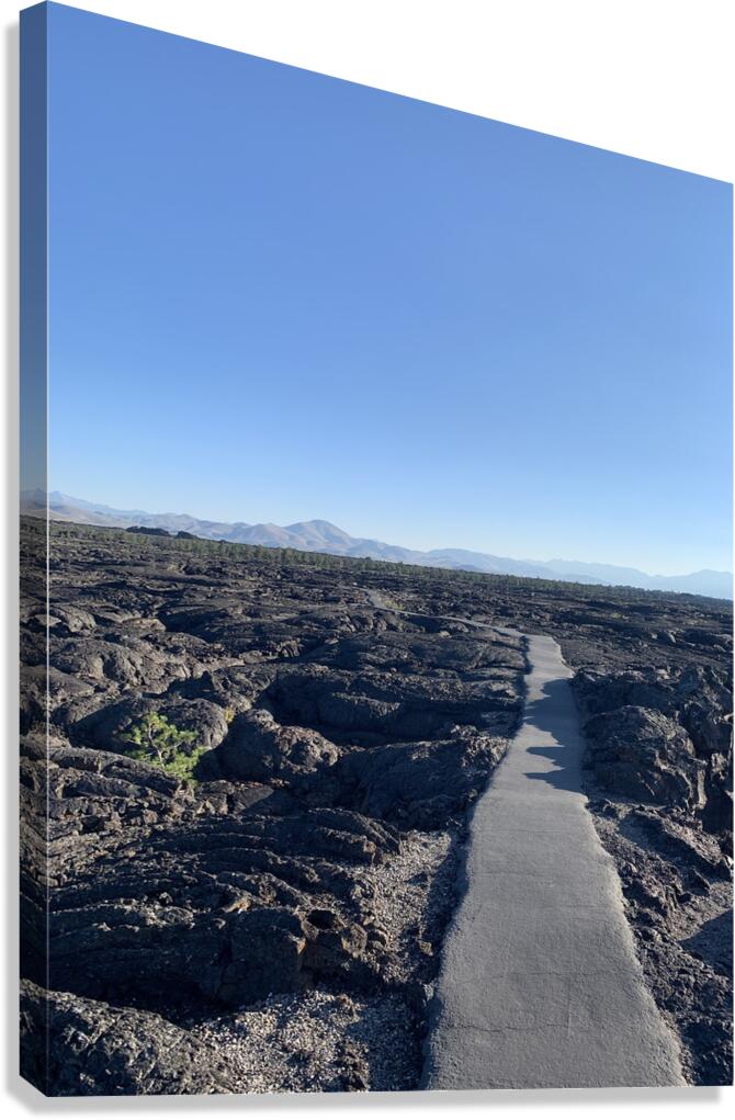 Path to Nowhere Canvas Print