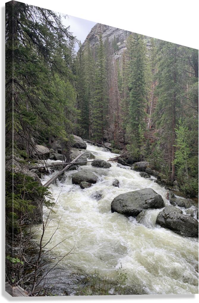 Rushing Waters Canvas Print