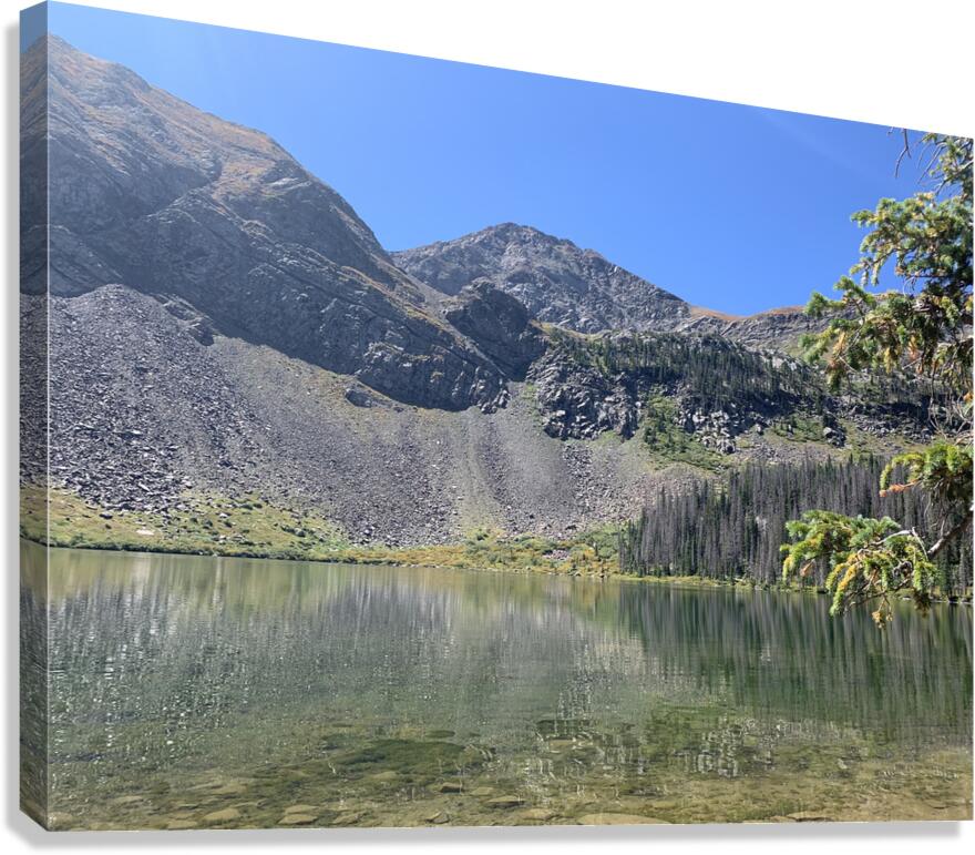 Distorted Reflections Canvas Print