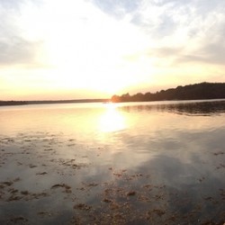 Sunset on a Lake Panoramic