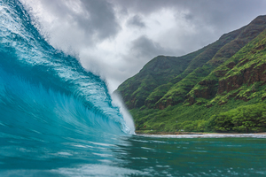  Hawaii Wave 