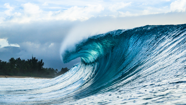 Pipeline Hawaii  by Jeff Albritton