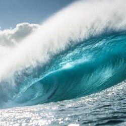 Hawaii Five-0