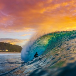  Hawaii Sunset Surfer