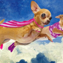 Chick Chihuahua and Darlene