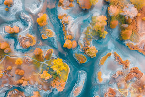 Aerial View of Multicolored autumn in wetlands  7