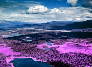 Alaska Denali   Infrared   Purple