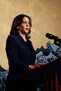 DRMVqmYqR6A Kamala Harris 1  ukiyoe sumi  0f7bb5e