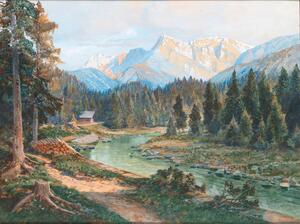 Friedrich Frank Frankenmarkt 1871 1945 Werfenweng