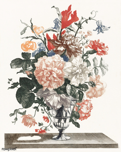 Illustration by Johan Teyler digitally enhanced   1697685482.6405