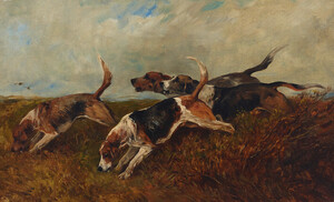 John Emms British 1843 1912 On the scent