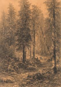 Julius Eduard Marak Leitomischl 1832 1899 Prague