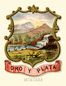 Montana territory coat of arms illustrated 1876.j