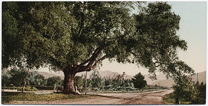 detroit photographic company 0009 0bd78a