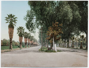 detroit photographic company 0134 81b802