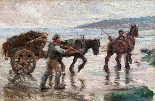 HAROLD HARVEY 1874 1941 SEAWEED GATHERERS ON NEWL Print