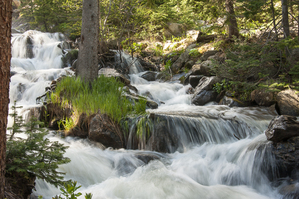 Rushing Silver Creek in Colorado