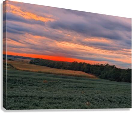 west setting sun Canvas Print
