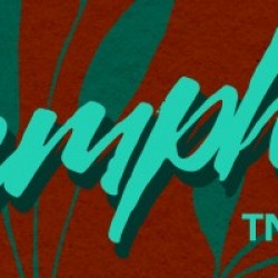 Memphis - Romeo