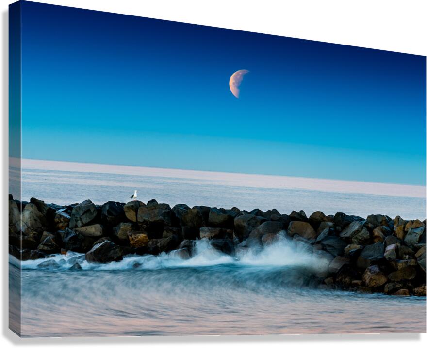 Eclipse Tamarack Canvas Print