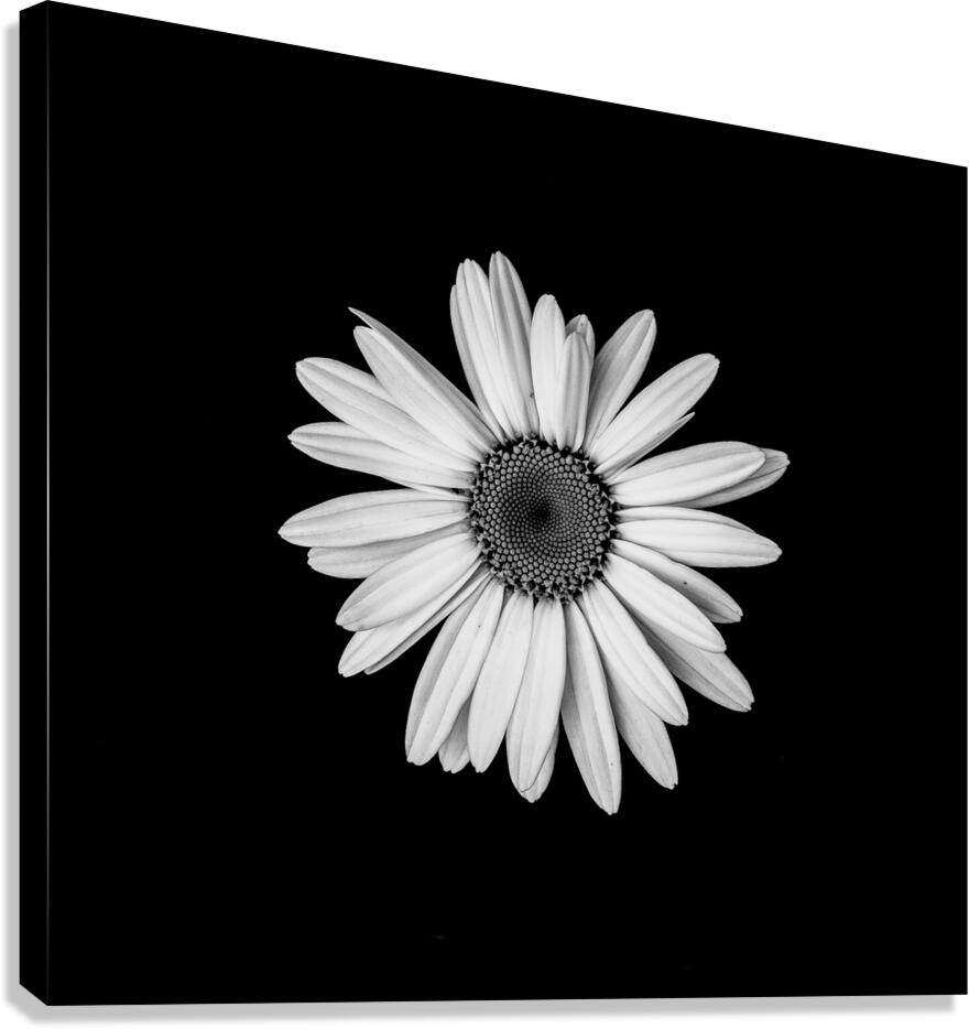 Flower Power Canvas Print