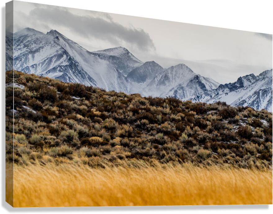 Mammoth Layers Canvas Print